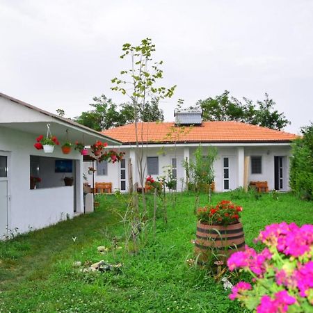 Casa Gyomar Hotel Vama Veche Bagian luar foto