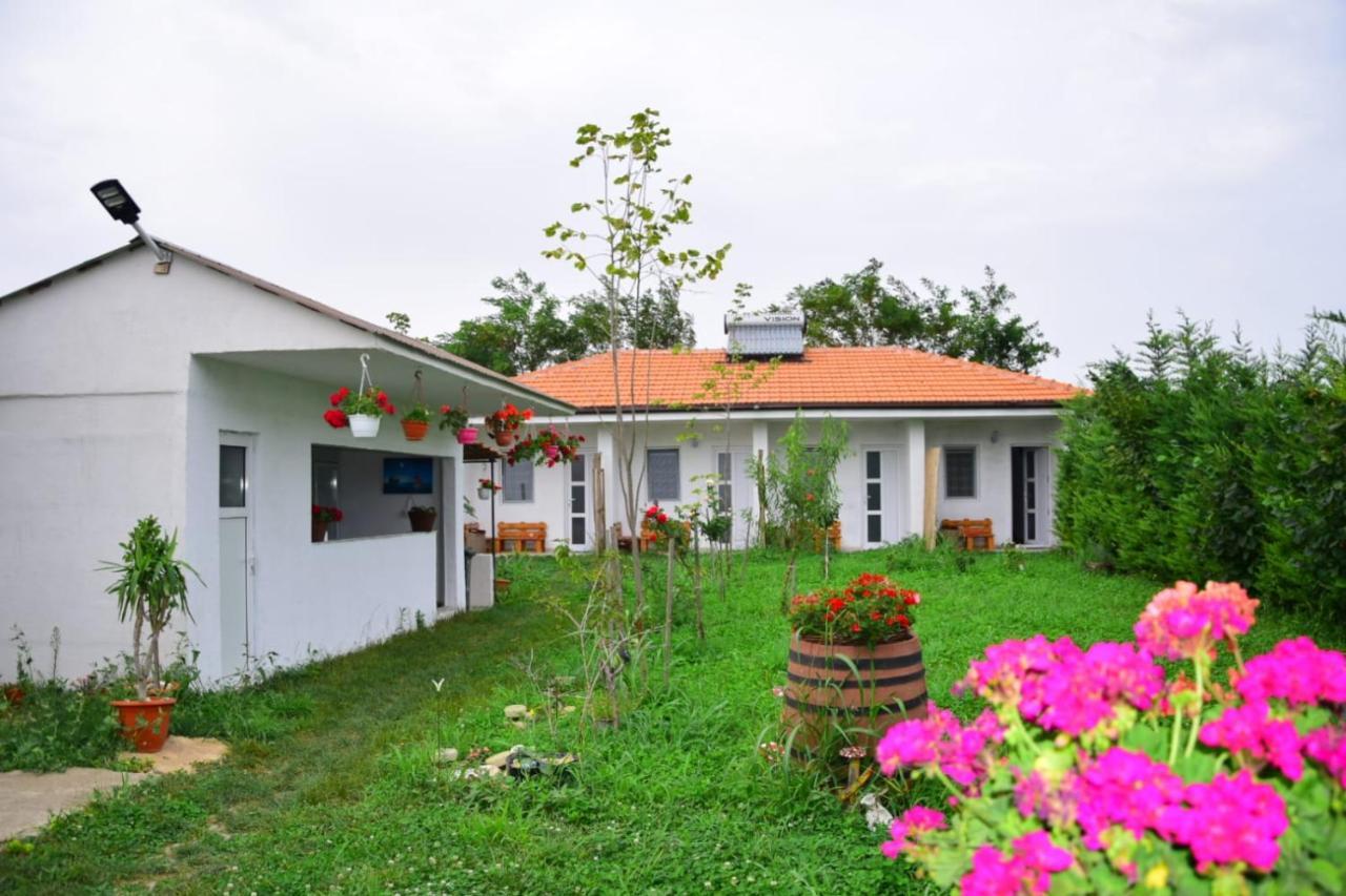 Casa Gyomar Hotel Vama Veche Bagian luar foto